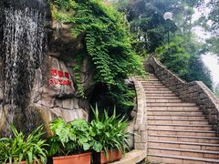 -九龙公园
