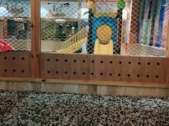 -汤W城市微度假(仓山店)