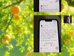 -大象音乐·吉他·架子鼓·声乐(双井店)