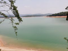 -广州市流溪河国家森林公园