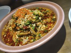-向川南·水煮鱼·川菜(和平里店)