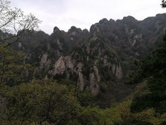 -王顺山国家森林公园