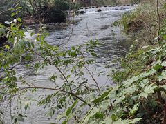 -阿哈湖国家湿地公园