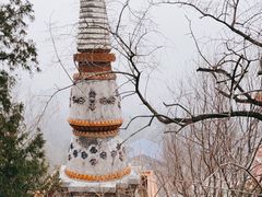 -颐和园