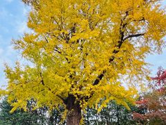 -狼山风景名胜区
