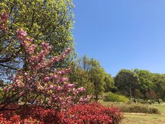 -南山风景名胜区