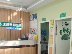 -瑞鹏宠物医院·夜间急症·心超·猫科(祖庙分店)