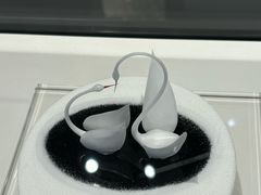 -BLACKSWAN黑天鹅(环球店)