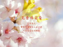 -乐达影城(枣庄市中店)
