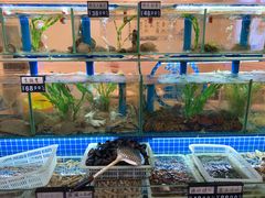 水产区-富临港·蒸汽海鲜·手抓海鲜·炒菜(栈桥店)