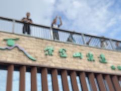 -紫金山山顶公园