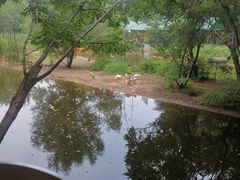 -长白岛森林公园