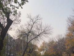 -平山城鑫烧烤(建国楼店)