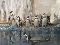 -太平洋海底世界