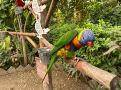 -南宫五洲植物乐园