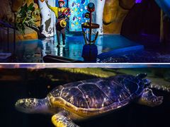 -烟台海昌鲸鲨海洋公园