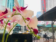 -妙井の茶(罗湖地王店)
