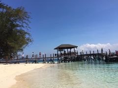 -东姑阿都拉曼海洋公园