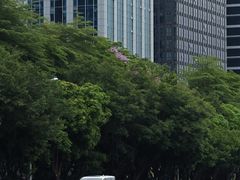 -竹子林(地铁站)