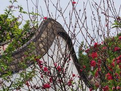 -乌山风景区