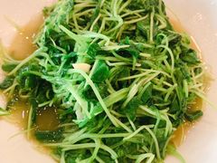 -旅宁大酒店