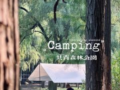 -上海共青森林公园