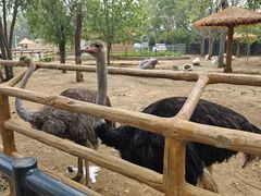 -大连森林动物园