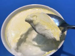 -德禄酸奶(莫家街店)