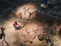 -自贡恐龙博物馆