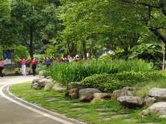 -堤角公园