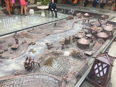 -金花茶公园