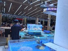 -皮记海鲜1995(寮步店)