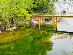 -洛阳白云山景区