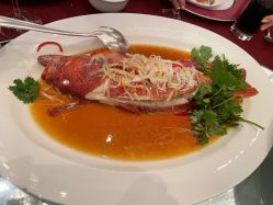 -上海金茂君悦大酒店·宴会厅