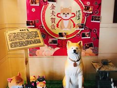 -大江户·温泉洗浴(浑南店)