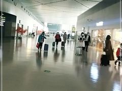 -麦当劳(太平国际机场店)