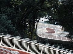 -金鸡山公园