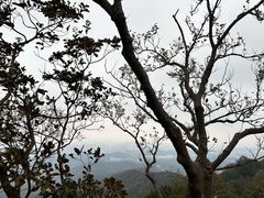 -紫金山索道-售票处
