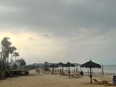 -汕尾风车岛