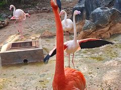 -昆明动物园
