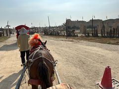 -镇北堡西部影城