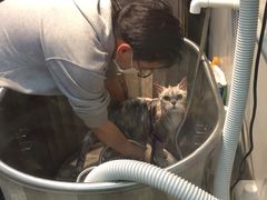 -PETKIT 小佩宠物·低压洗护·美容·寄养(安远店)