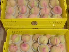 -老袁家蜜桃农场·阳山水蜜桃