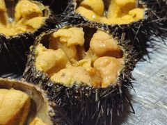 新鲜海胆-旺角小渔村·海肠捞饭开创者(环山路店)