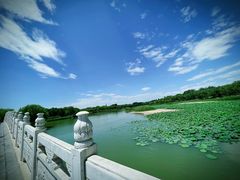 -南海子公园