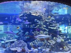 -左海海底世界