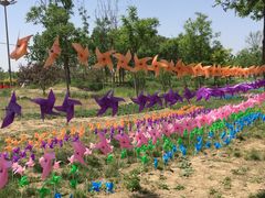 -武清南湖绿博园