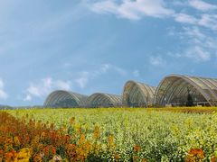 -中国天府农业博览园