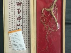 -雷允上(南京西路店)