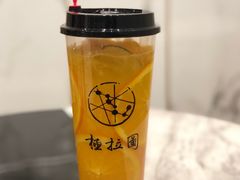 极拉图的大橙子-极拉图·现制冰淇淋(大卫城店)